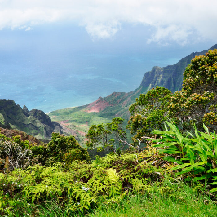 hawaii napali coast bearbeitet